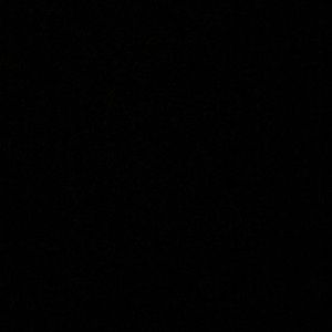 Meet your Posher, Adrian